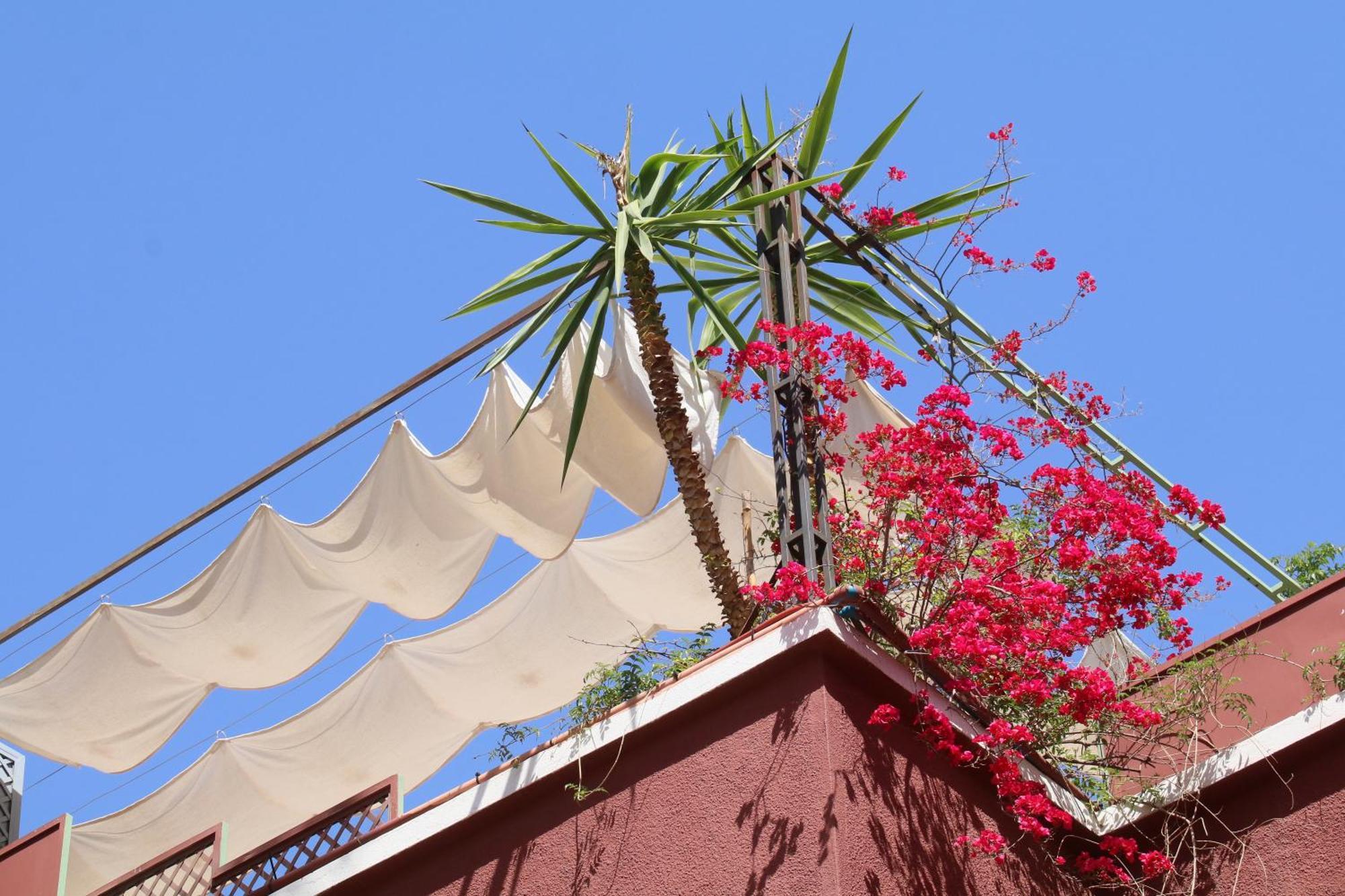 Riad Celia Marrakesh Luaran gambar